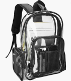 ProCase Clear Backpack Review